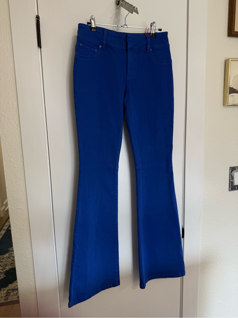Alice + Olivia Stacey Flare Jeans in Royalty Blue 27